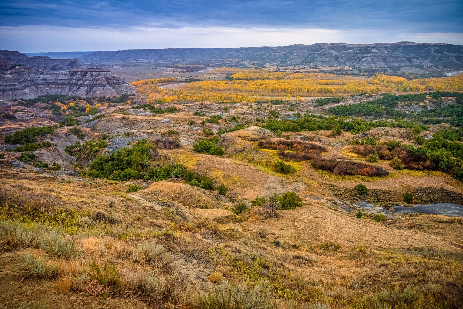 Cottonwood trees line the banks of the Little Missouri River as it winds its way through the hoodoos and rock formations in the badlands of Thodore Roosevelt National Park, North Unit, in North Dakota.