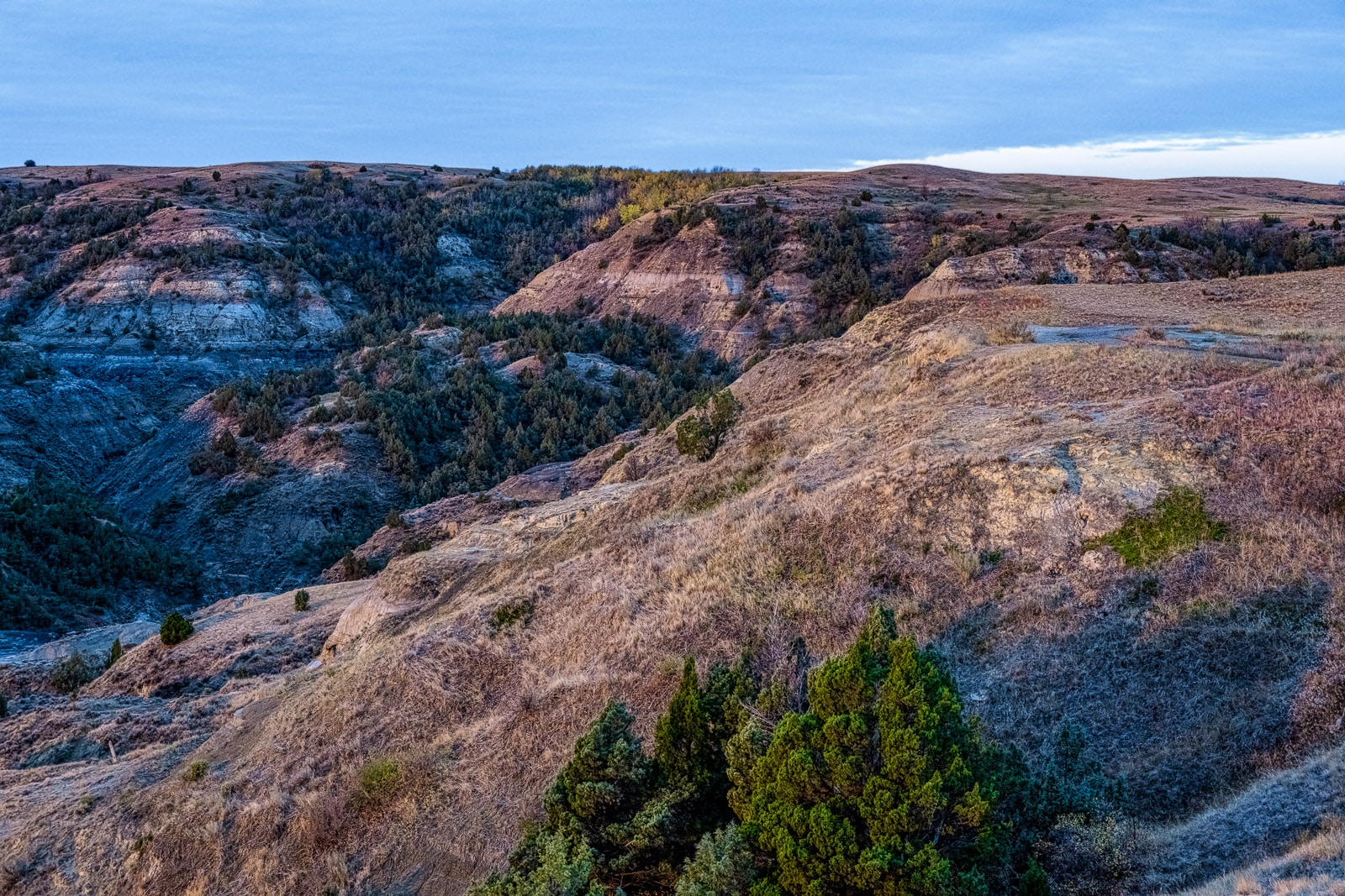 Early morning at the Oxbow Overlook in the North Unit of Theodore Roosevelt National Park in North Dakota.