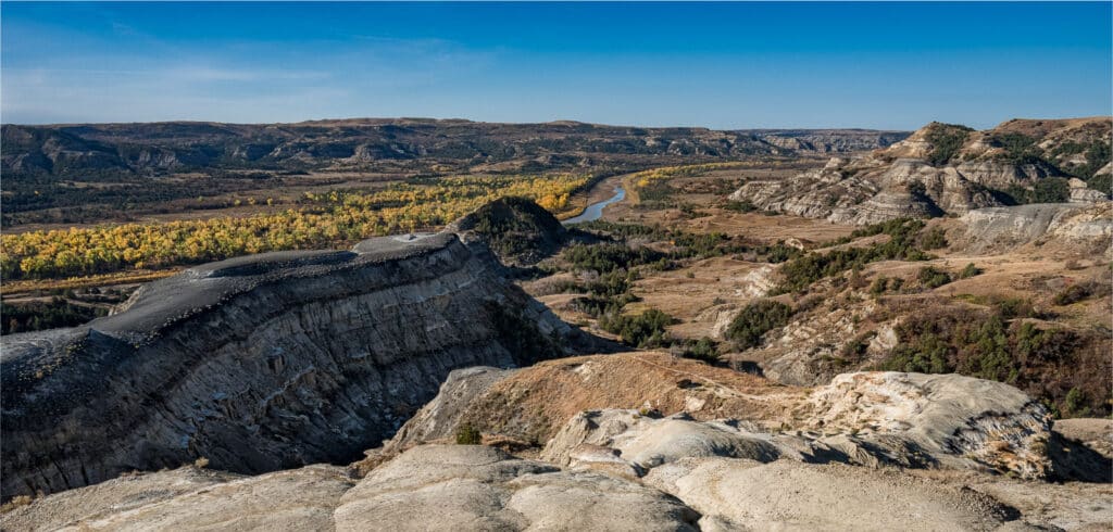 A view of the yellow cottonwoods that grow along the banks of the Little Missouri River, taken from the River Bend Overlook in the North Unit of Theodore Roosevelt National Park in North Dakota.