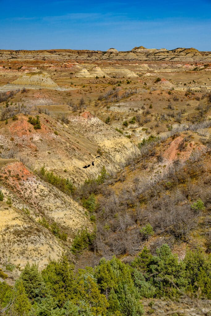 An afternoon view across the badlands in the South Unit of Theodore Roosevelt National Park near Medora, North Dakota.