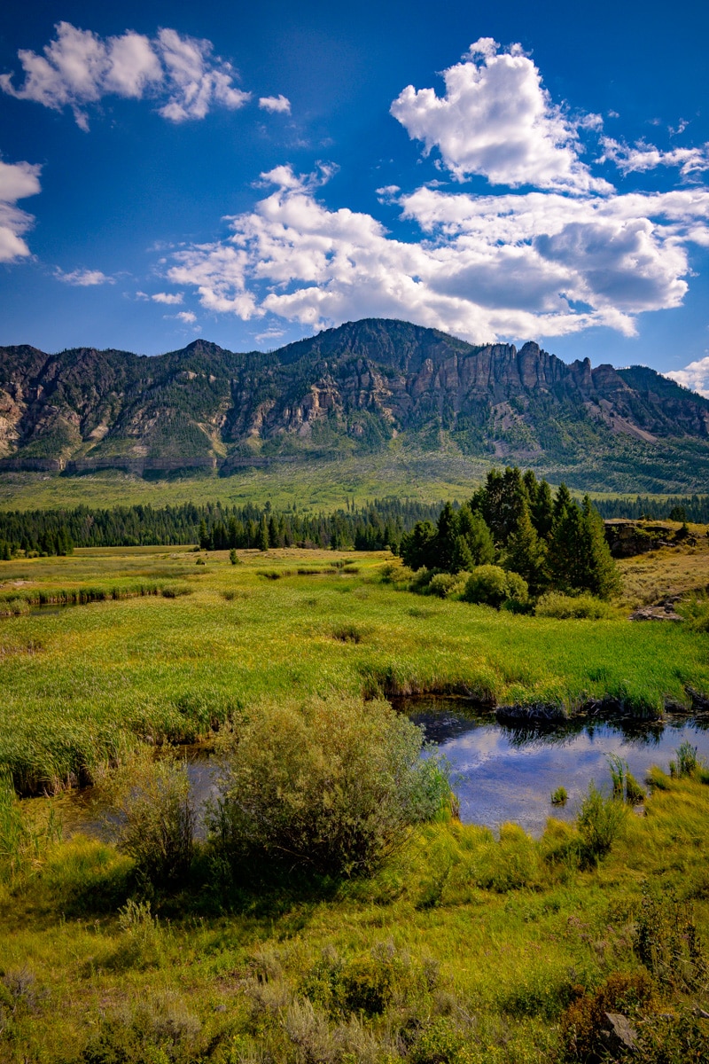 A lush view of wetlands south of the Chief Joseph Scenic Byway with mountains in the distance.